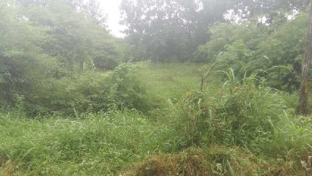 Agricultural Land Available For Sale in Vapi, Gujarat