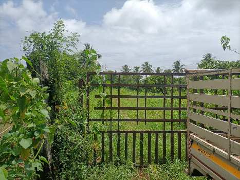 45 Acre Agricultural/Farm Land for Sale in Kalgam Bariyawad, Valsad