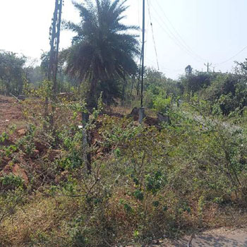 Industrial Land Available For Sale in Sarigam, Valsad, Gujarat