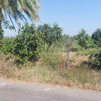 Agricultural /Farm Land Avaialble For Sale In Umbergaon, Valsad, Gujarat