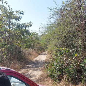 Agricultural /Farm Land Avaialble For Sale In Umbergaon, Valsad, Gujarat