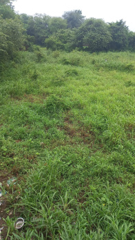 Agricultural /Farm Land Avaialble For Sale In Dehri, Umbergaon, Valsad, Gujarat