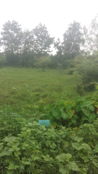 Agricultural /Farm Land Avaialble For Sale In Pardi, Valsad, Gujarat