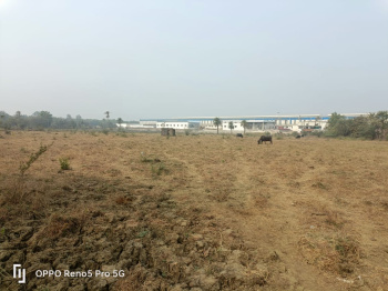 Agricultural /Farm Land Avaialble For Sale In Maroli, Umbergaon, Valsad, Gujarat