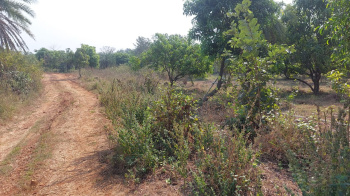 14 Acre Agricultural/Farm Land for Sale in Umbergaon, Valsad