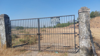 Agricultural /Farm Land Avaialble For Sale In Umbergaon, Valsad, Gujarat