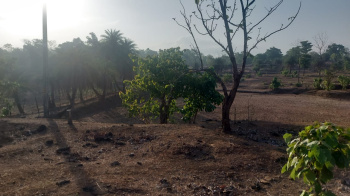 8 Acre Industrial Land / Plot for Sale in Dadra & Nagar Haveli