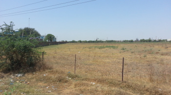 Agricultural/Farm Land for Sale in Maroli, Surat (15 Acre)