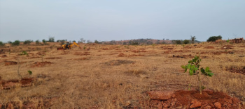 Agricultural/Farm Land for Sale in Chikhli, Navsari (58000 Sq.ft.)