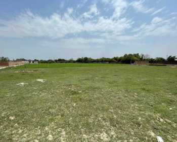 Agricultural Land on sale in Sarigam