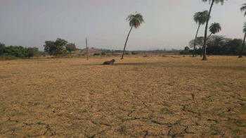 Agricultural Land on sale in Sarigam