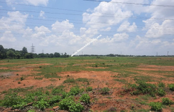 Industrial Land on Sale in Zaroli