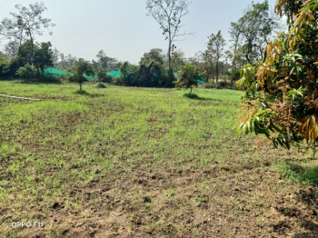 Industrial Land on Sale NEAR COASTAL HIGHWAY, SARONDHA