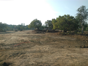 3 Acre Industrial Land / Plot for Sale in Naroli