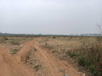 Agricultural Land for Sale in Mamakwada, Sarai-fatak