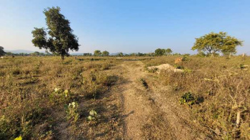 Agricultural Land for Sale in Maroli (Dodhipada)