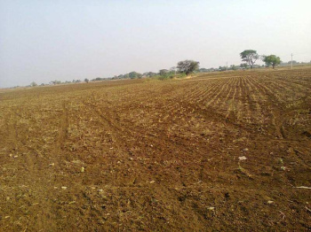 Agricultural/Farm Land for Sale in Sarigam, Vapi (3 Acre)