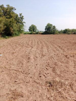 Agricultural/Farm Land for Sale in Chikhli, Navsari (60000 Sq.ft.)