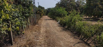 Agricultural Land for sell in Pardi