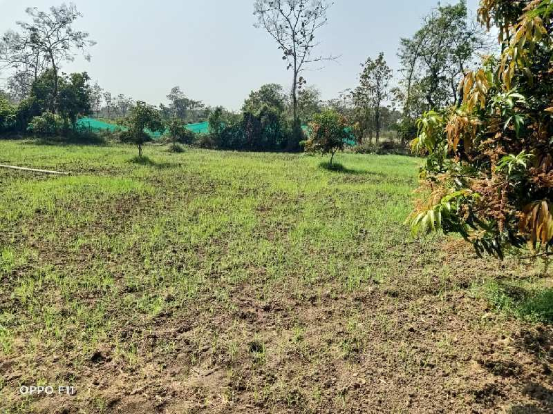 Agricultural LAnd in Pardi, Valsad