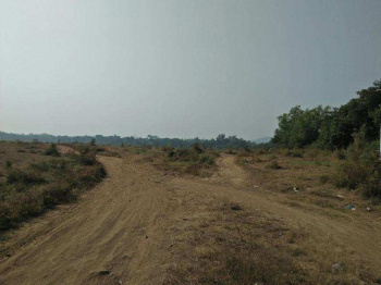 AGRICULTURE LAND (Juni Sarat) for Sale