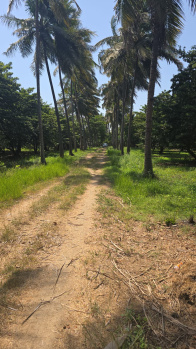 Property for sale in Sanjan, Valsad
