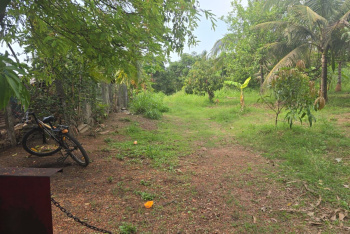 Agricultural/Farm Land for Sale in Bordi, Palghar (2 Acre)