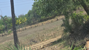 2 Acre Agricultural/Farm Land for Sale in Umbergaon, Valsad