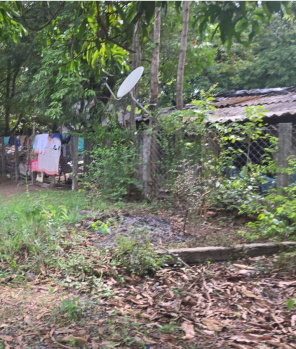 Agricultural/Farm Land for Sale in Bordi, Palghar (2 Acre)