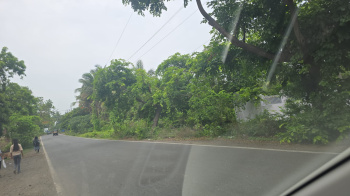Agricultural/Farm Land for Sale in Gholvad, Palghar (1.25 Acre)