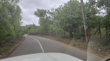 Agricultural/Farm Land for Sale in Umbergaon, Valsad (2 Acre)