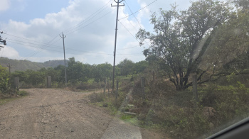 Agricultural/Farm Land for Sale in Bhilad, Valsad (7 Acre)