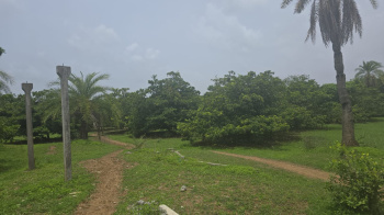 Property for sale in Bordi, Palghar
