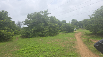 Property for sale in Bordi, Palghar