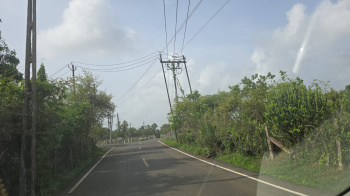 Agricultural/Farm Land for Sale in Sarigam, Valsad (4 Acre)