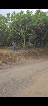 Industrial Land / Plot for Sale in Tukwada, Vapi (16000 Sq. Meter)