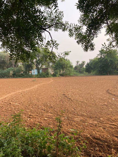 1.5 Acre Agricultural/Farm Land for Sale in Sohna Road, Faridabad