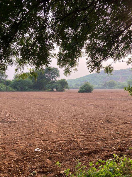 8 Acre Agricultural/Farm Land for Sale in Sohna, Gurgaon