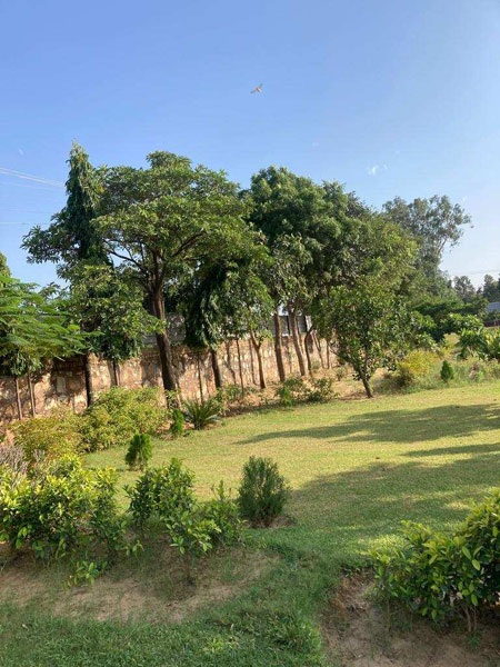 2 Acre Agricultural/Farm Land for Sale in Sohna Palwal Road, Gurgaon