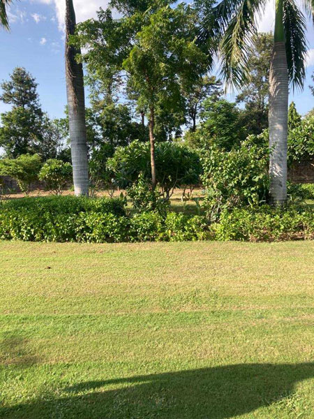 2 Acre Agricultural/Farm Land for Sale in Punahana, Nuh