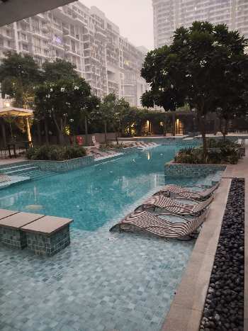 3 BHK Flats & Apartments for Sale in Sector 65, Gurgaon (3844 Sq.ft.)