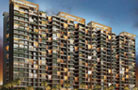 1 BHK Flats & Apartments for Sale in Kolshet Road, Thane (393 Sq.ft.)
