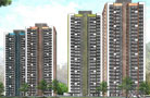 1 BHK Flats & Apartments for Sale in Kasarvadavali, Thane (430 Sq.ft.)