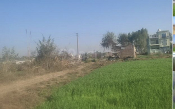 4500 Sq.ft. Residential Plot for Sale in Bhagwantpur, Kashipur