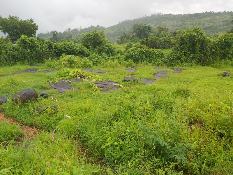 Residential Plot For Sale In Sudhagad, Raigad (6 Acre)