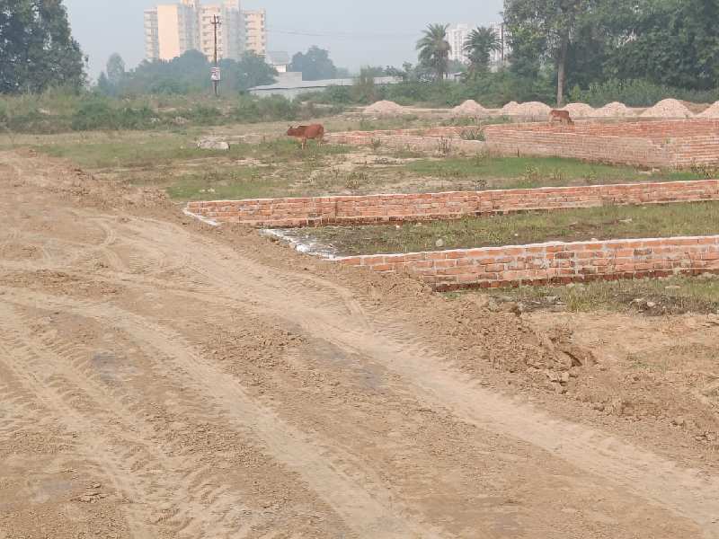 1000 Sq.ft. Residential Plot for Sale in Ansal API Sushant Golf City, Lucknow