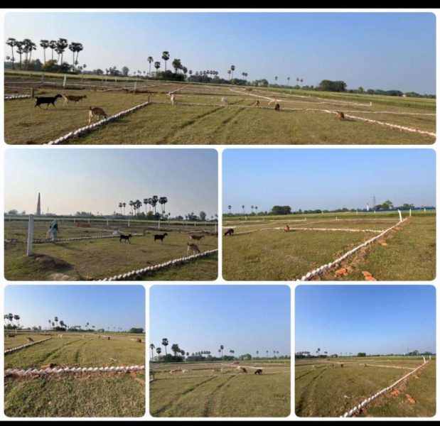 100 Sq. Yards Residential Plot for Sale in Biharigarh, Saharanpur
