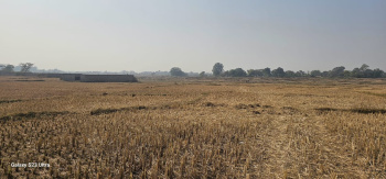 2000 Sq.ft. Residential Plot for Sale in Pithoria, Ranchi