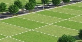 70 Sq. Yards Residential Plot for Sale in Sunny Enclave, Mohali
