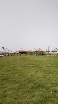 Farm land on jewer international Airport